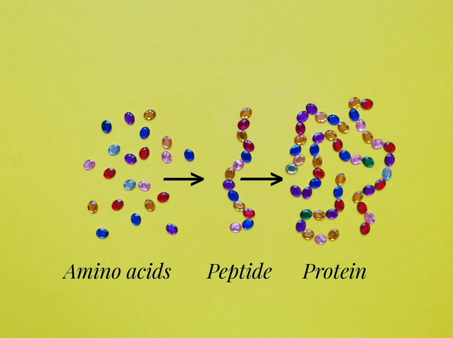 Peptide Therapy
